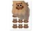 Adorable Little Hoot Owl Temporary Tattoo Water Resistant Fake Body Art Set Collection (1 Sheet)